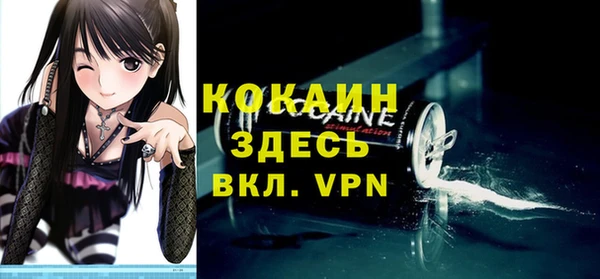 дживик Алексин