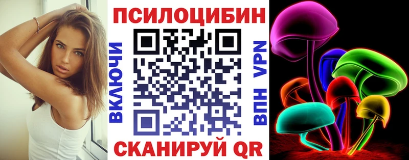 Псилоцибиновые грибы Psilocybe наркошоп Красково